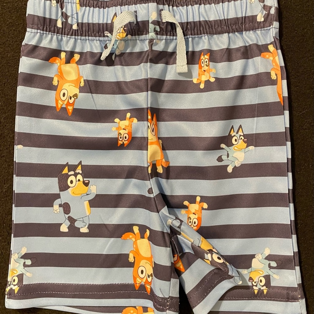 Bluey polyester shorts